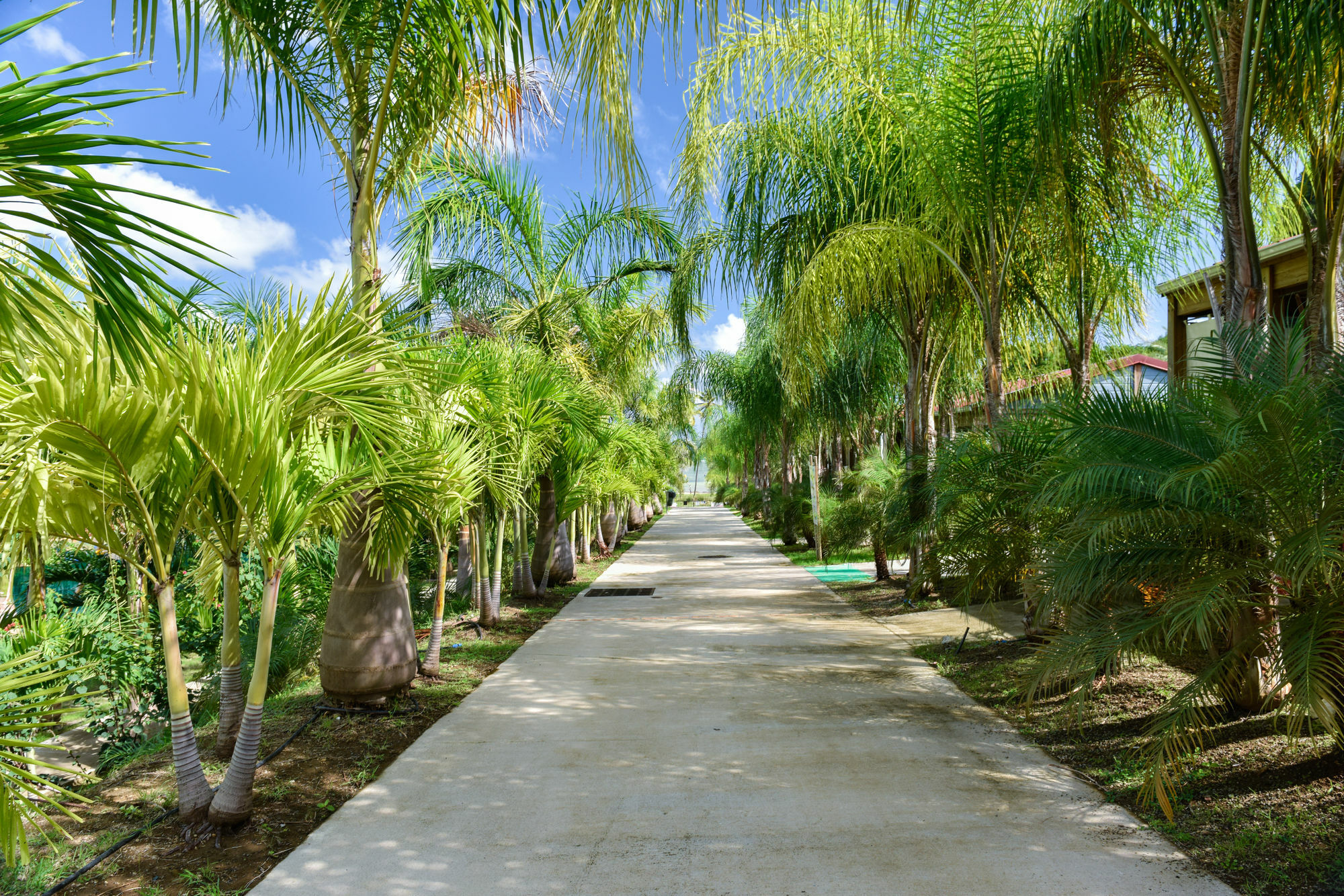 לה ווקלה Le Village De La Pointe מראה חיצוני תמונה